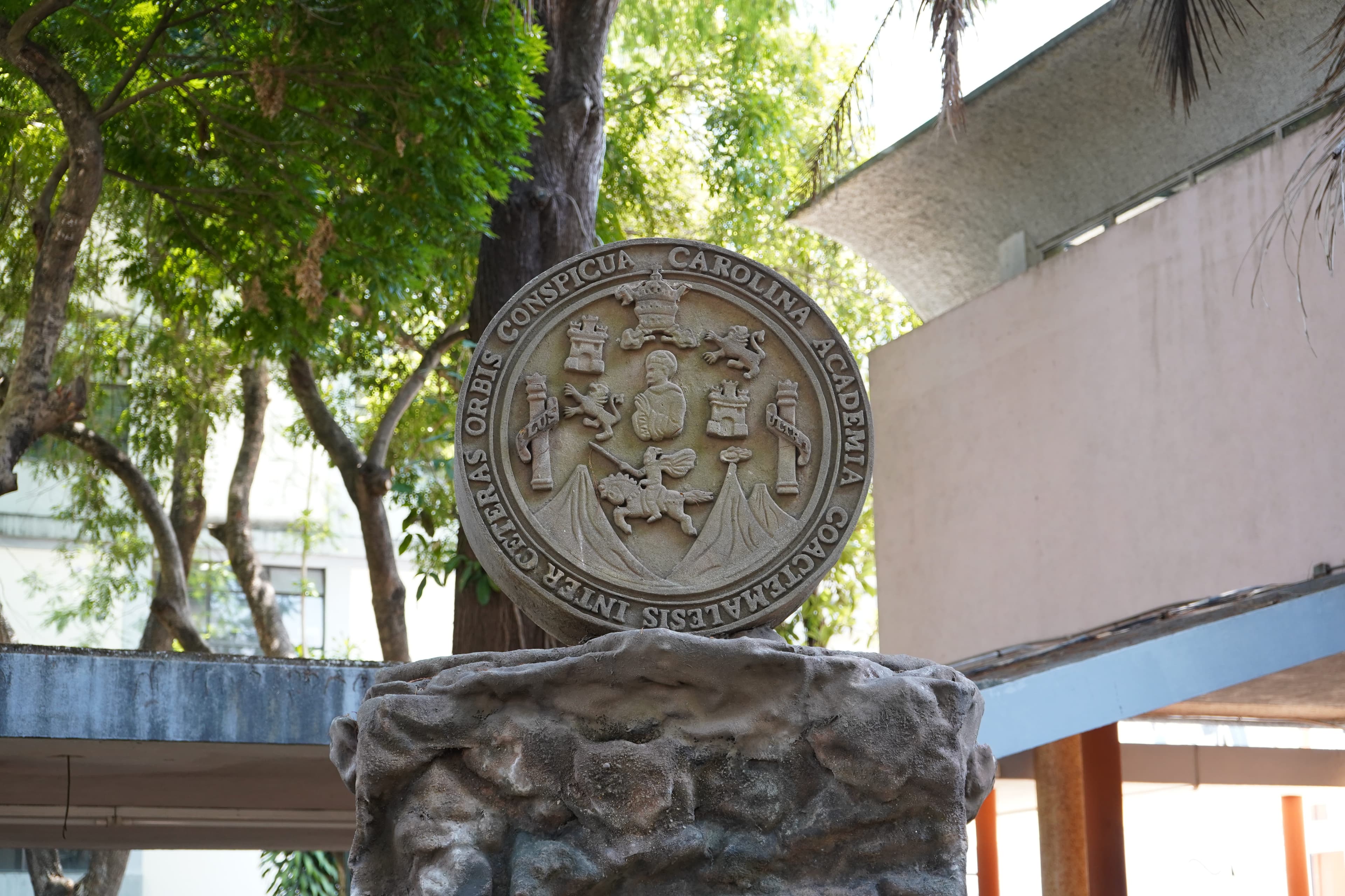 Fotografía de Jardinización Ingeniería